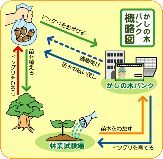 かしの木バンクの概略図