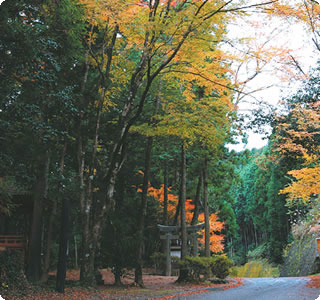 紀伊山地の霊場と参詣道